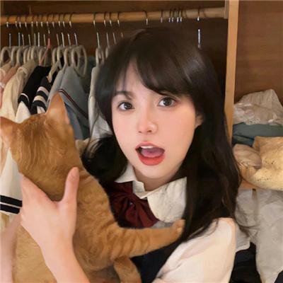 魅力航班